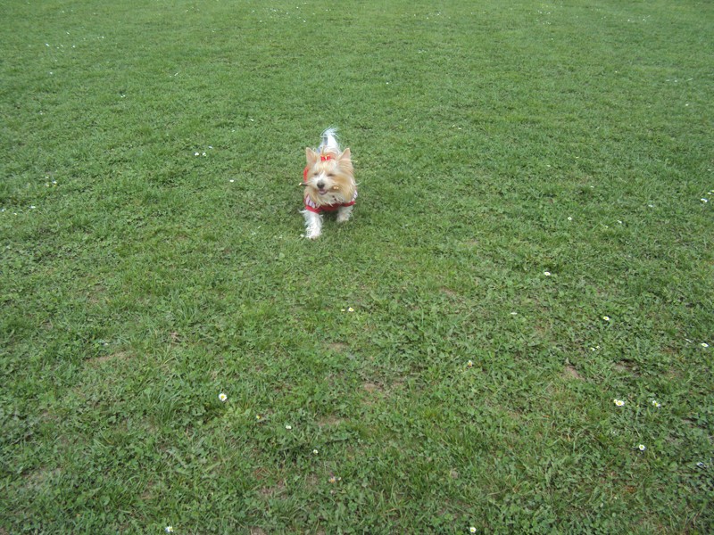 DSC04149